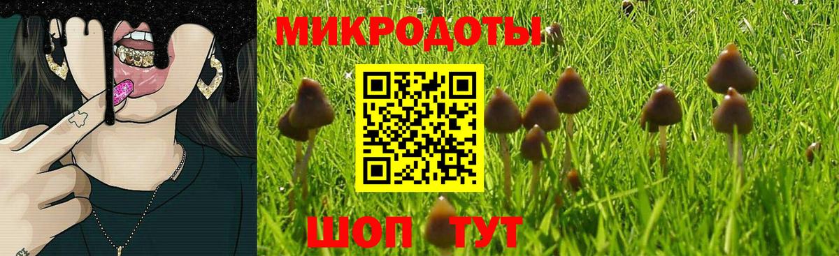 Псилоцибиновые грибы ЛСД  Вход с VPN  Псилоцибиновые грибы ЛСД  Удомля 